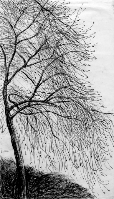 정연희，＜Chorus of Trees >，한지에 목탄，　132×76cm，2019