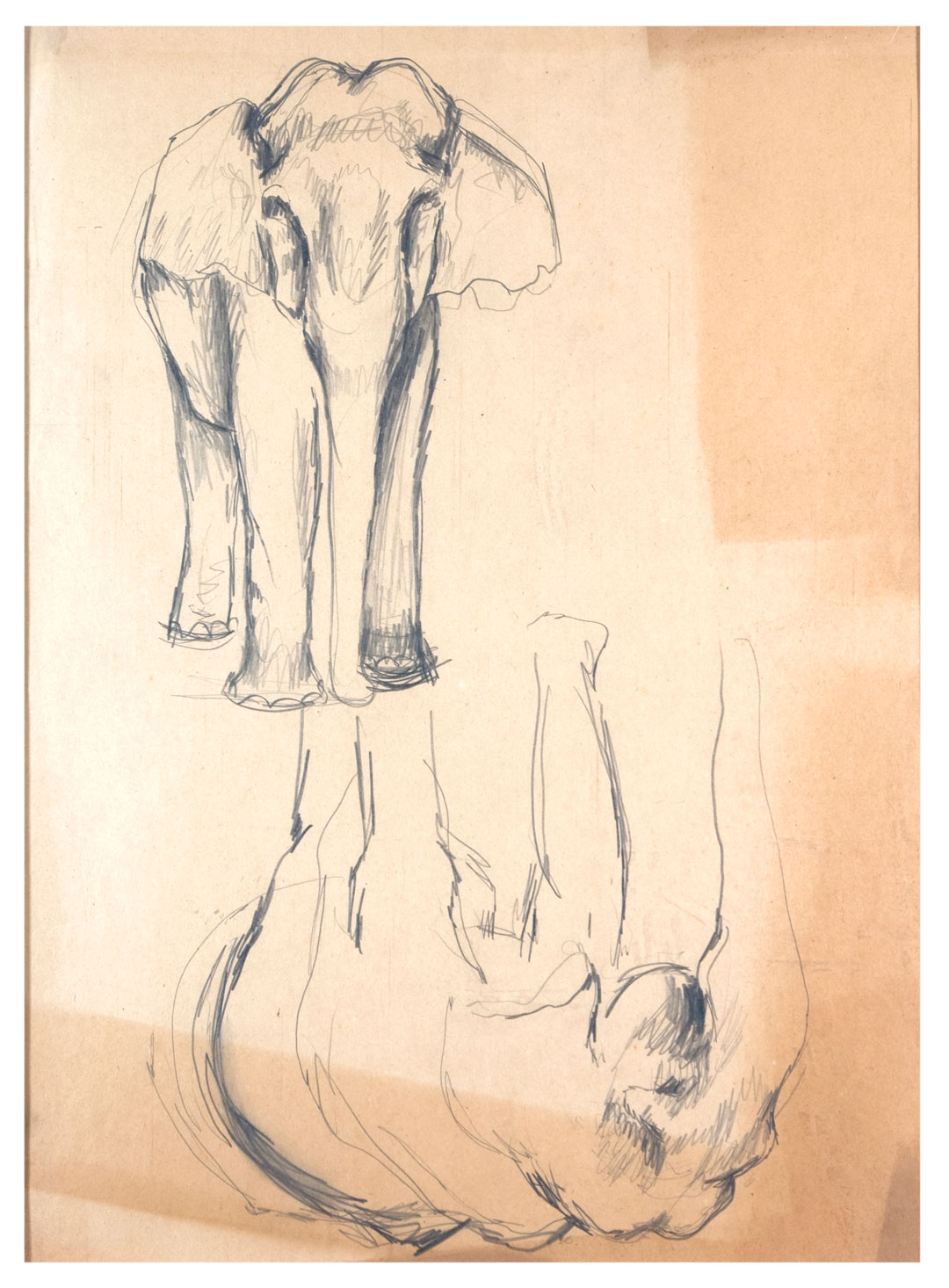 , Pencil on paper, 50.8x38.1cm, 1925, Private Collection