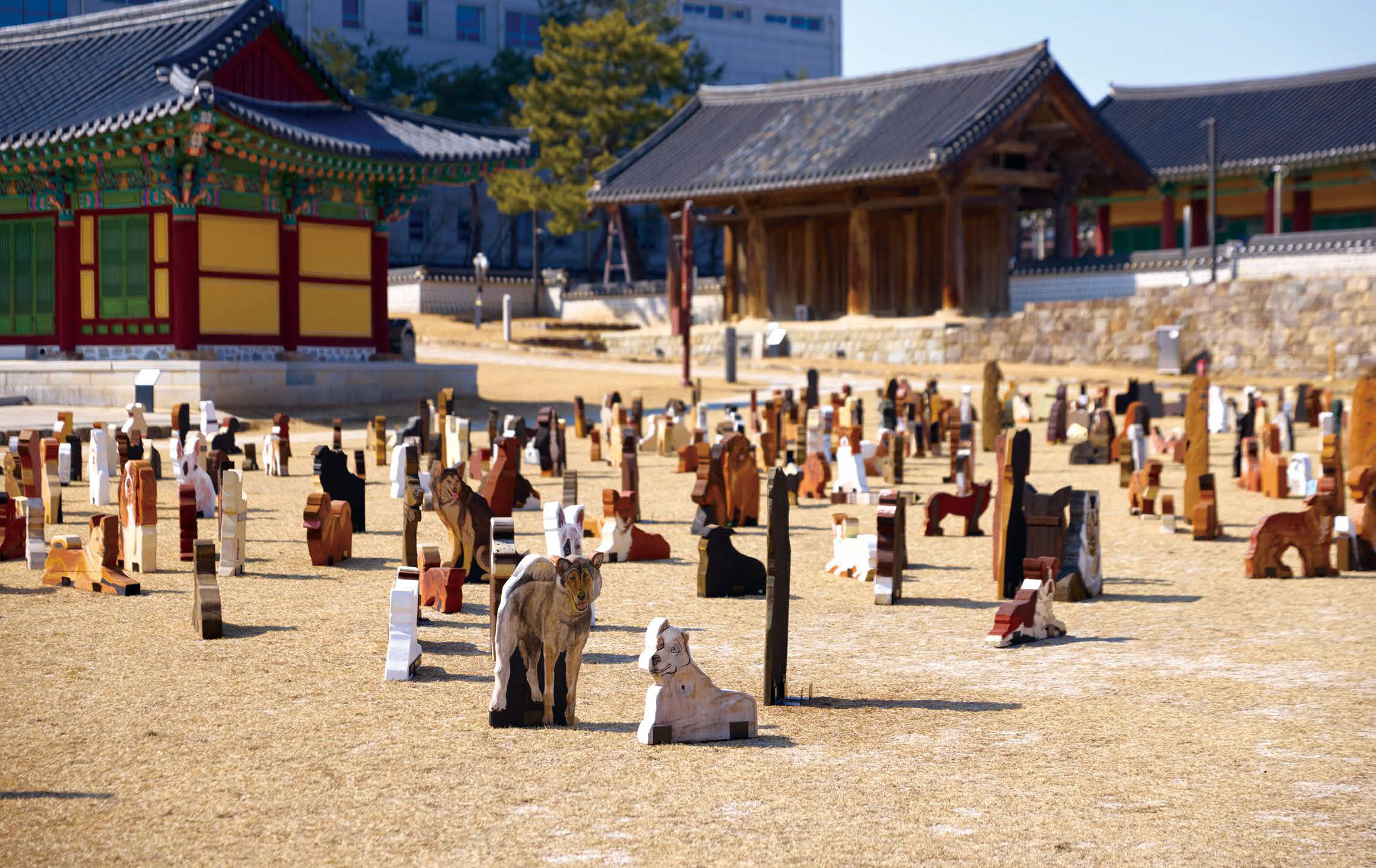 050-051 사이트앤이슈_강릉국제아트페스티벌-3